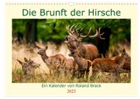 Kalender Die Brunft der Hirsche